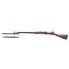 Image 2 : EARLY PRODUCTION S# 15 U.S. SPRINGFIELD MODEL