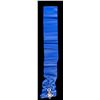 Image 3 : EL SALVADORAN SASH ORDER.