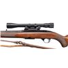 Image 4 : FIRST YEAR WINCHESTER MODEL 100 SEMI AUTO RIFLE.