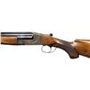 Image 4 : ITALIAN RENATO GAMBA BOXLOCK TRAP SHOTGUN RETAILED