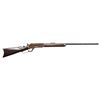 Image 1 : DOCUMENTED SPECIAL ORDER WINCHESTER 1876 THIRD