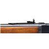 Image 10 : THE PINNACLE TRAPPER: OUTSTANDING, ORIGINAL, AND