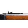Image 13 : THE PINNACLE TRAPPER: OUTSTANDING, ORIGINAL, AND