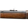 Image 6 : WINCHESTER 1894 LEVER ACTION CARBINE.