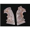 Image 2 : POSSIBLY ONE OF A KIND ROPER TARGET GRIPS FOR THE