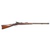 Image 1 : OUTSTANDING SPRINGFIELD MODEL 1873 SPORTING