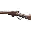 Image 4 : SPENCER 1865 SADDLE RING CARBINE.