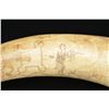 Image 5 : EXTRAORDINARY 1775 REVOLUTIONARY WAR "LIBERTY &