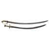 Image 1 : 2 INDIAN OR PERSIAN STYLE SABERS.