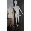Image 2 : Modern Female Mannequin Forms