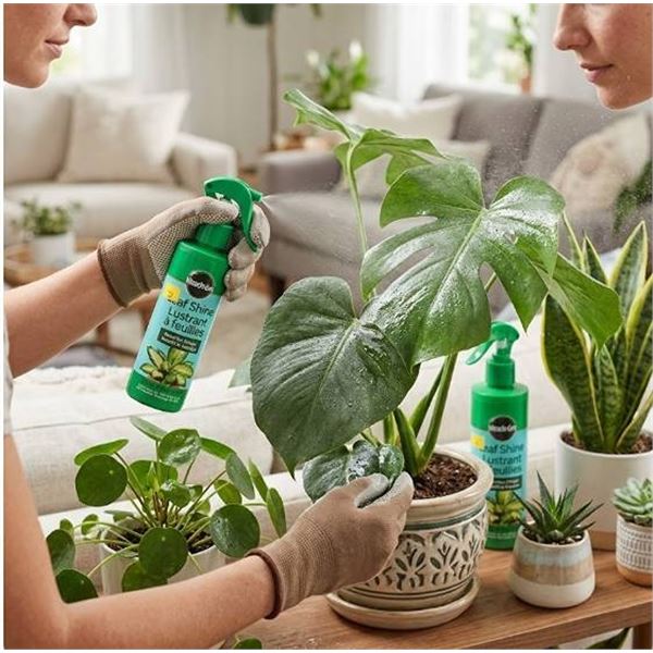 Miracle-Gro Leaf Shine 8 fl oz, 2 Bottles