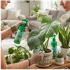 Image 1 : Miracle-Gro Leaf Shine 8 fl oz, 2 Bottles