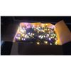 Image 3 : Green Convenience 105FT 300 LED String Lights - White or vibrant color mode