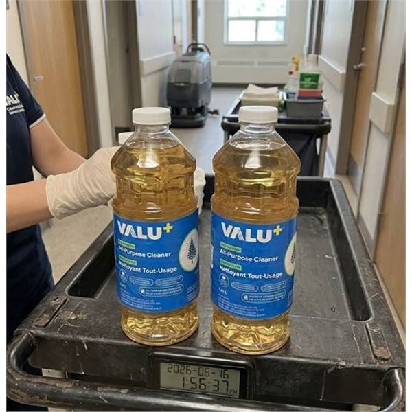 Valu+ Pine Scented All-Purpose Cleaner 2-Pack