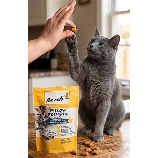 Ten Cats Pillow Pockets Cat Treats Lot 4x85g