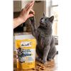 Image 1 : Ten Cats Pillow Pockets Cat Treats Lot 4x85g