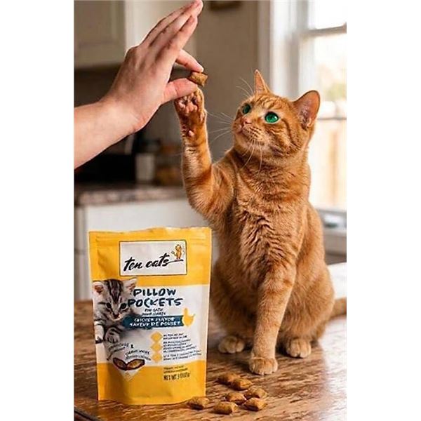 Ten Cats Pillow Pockets Cat Treats Lot 4x85g