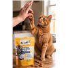 Image 1 : Ten Cats Pillow Pockets Cat Treats Lot 4x85g