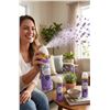 Image 1 : Glade Lavender & Aloe Air Freshener 3x235g