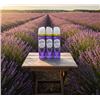 Image 1 : Lot of 3 - Glade Tranquil Lavender & Aloe Air Freshener,
