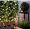 Image 1 : Fullbell LED Fairy String Lights 65.6ft 200-LED Warm White