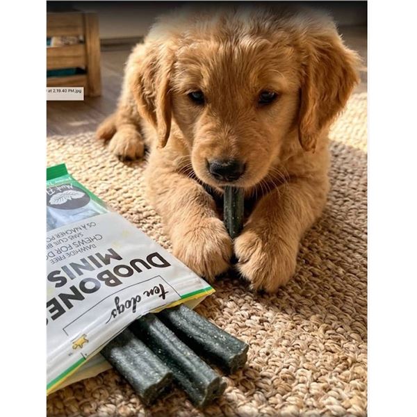 Ten Dogs DuoBones Minis Mint Dog Chews Lot of 6