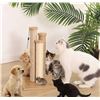 Image 1 : Amazon Basics Cat Scratching Post