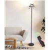Image 1 : FIMEI PY-F1205 Floor Lamp