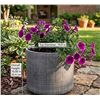 Image 1 : Rivet Rustic Textured Stoneware Planter