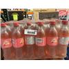 Image 3 : Canada Dry Raspberry Ginger Ale 24x500mL