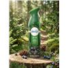Image 1 : Febreze Air Pine & Berries 6 x 250g Cans