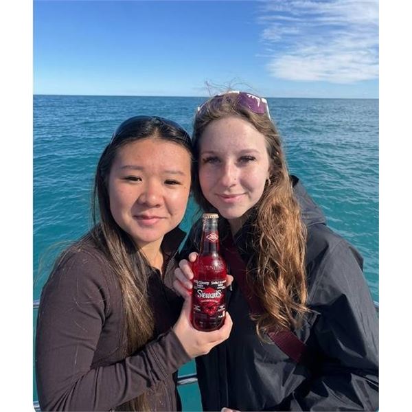 Stewartâ€™s Black Cherry Soda 24 x 355ml