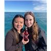 Image 1 : Stewartâ€™s Black Cherry Soda 24 x 355ml