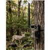 Image 1 : SPYPOINT LINK-MICRO-LTE Cellular Trail Camera