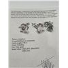 Image 5 : $1975.00 - 4.00 CT TW GRA CERTIFIED ROUND CUT MOISSANITE EARRINGS