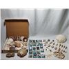 Image 1 : Seashell Collection