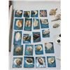 Image 2 : Seashell Collection
