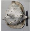 Image 2 : Sea Shell