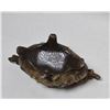 Image 5 : Antique Bronze Planter
