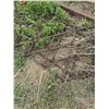 Image 11 : Steel Spike-Tooth Harrow Section