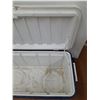 Image 8 : *Large Coleman Cooler No Shipping