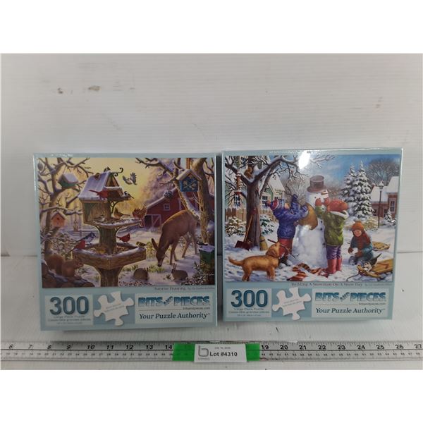 (2) Winter Puzzles- Sealed