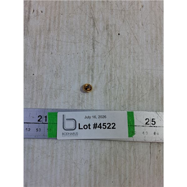 ^ 10k Gold Pin