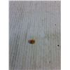 Image 2 : ^ 10k Gold Pin