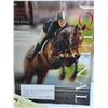 Image 3 : Quarter Horse Journals - From 2012