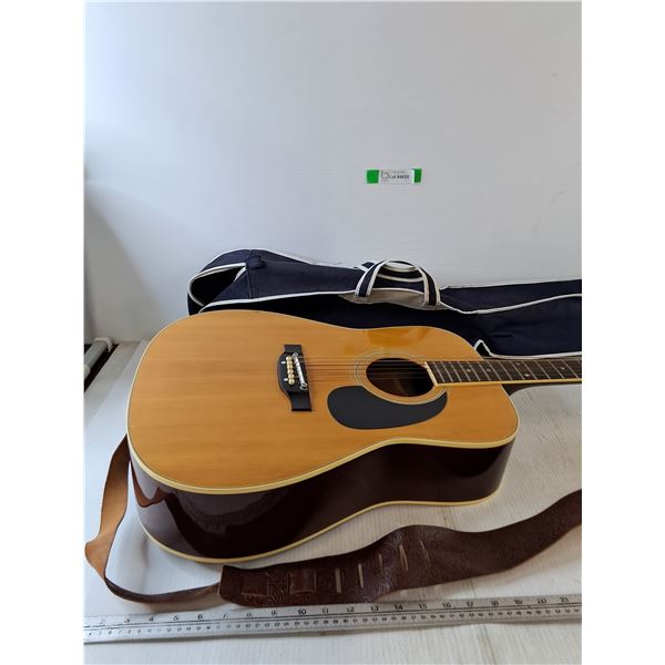 Acoustic Guitar with Strap and Carry Case, Pickup Only