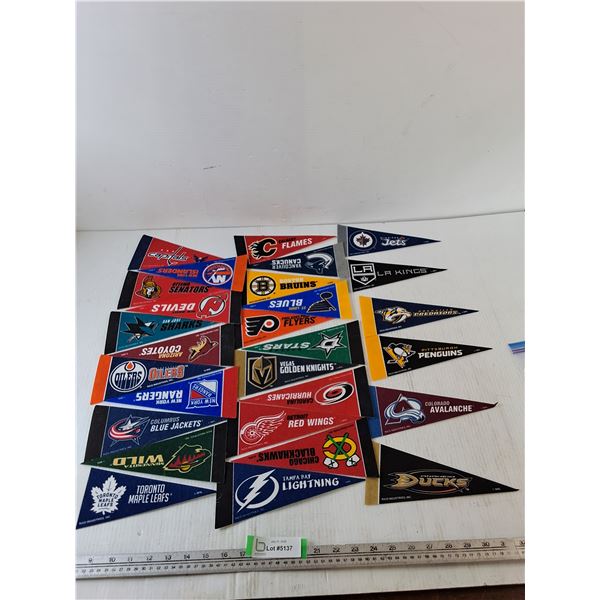 Assorted Sports Hockey Flags