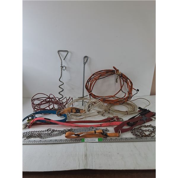 Large Assortment Of Dog Collars, (4) Tie Out Cables, (2) Tie Out Spikes