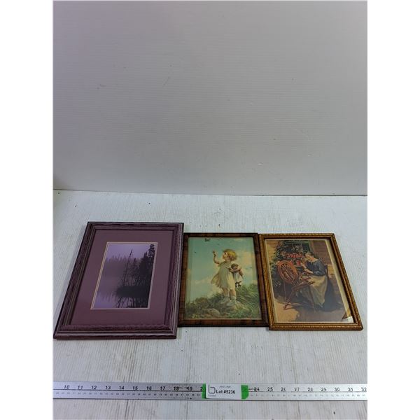 (3) Picture Frames 10''x12''