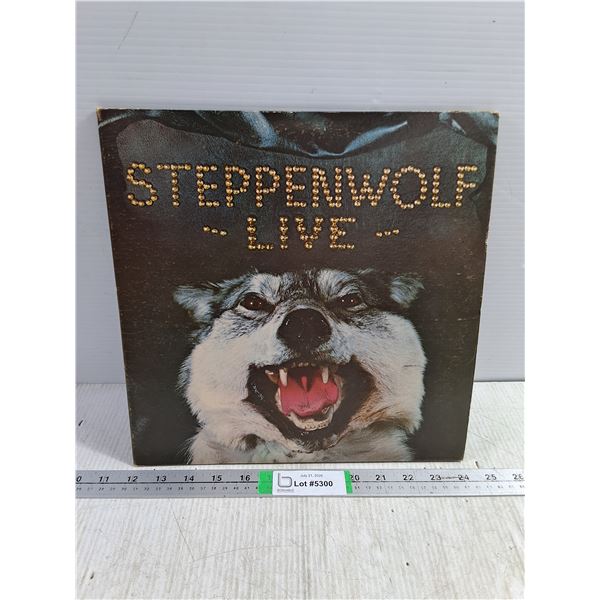 Vintage Steppenwolf Double Album